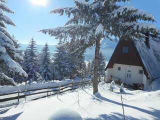 Дома для отпуска Apartment Andjela Жабляк Дом с 2 спальнями-31