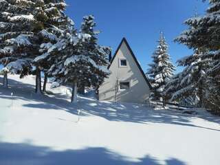 Дома для отпуска Apartment Andjela Жабляк Дом с 2 спальнями-33