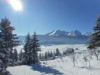 Дома для отпуска Apartment Andjela Жабляк Дом с 2 спальнями-36